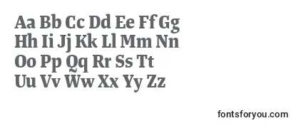 TangerserifnarrowBold Font