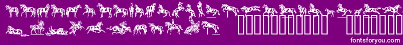 Linotypedressage Font – White Fonts on Purple Background