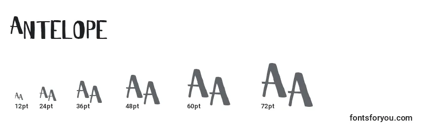 Размеры шрифта Antelope