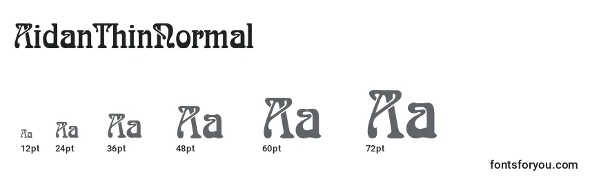 AidanThinNormal Font Sizes