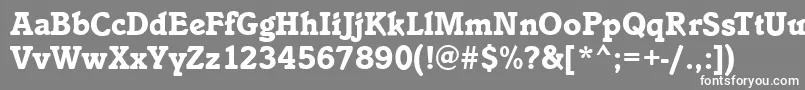 フォントIstriaBold – 灰色の背景に白い文字