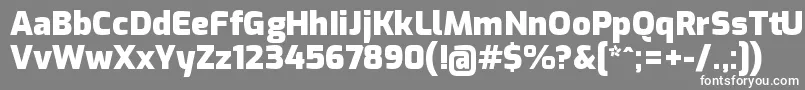 フォントExoBlack – 灰色の背景に白い文字