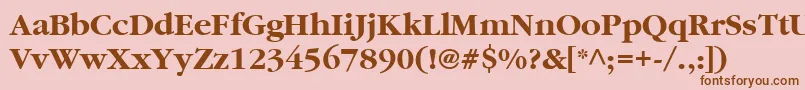 ItcGaramondLtBold Font – Brown Fonts on Pink Background