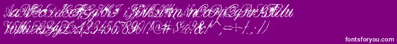 DeadlyEnglish Font – White Fonts on Purple Background