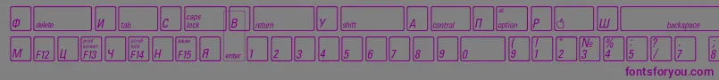 Шрифт KeyfontrussianBold – фиолетовые шрифты на сером фоне