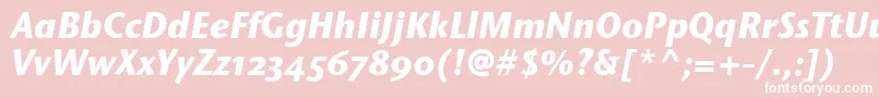 StoneSansOsItcTtBolditalic Font – White Fonts on Pink Background