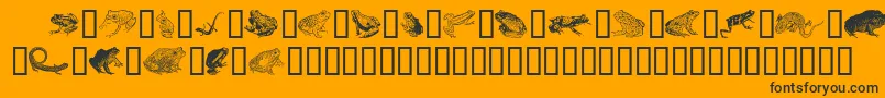 Amphibiprint Font – Black Fonts on Orange Background