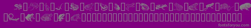 More about Amphibiprint Font Amphibiprint Font – Gray Fonts on Purple Background