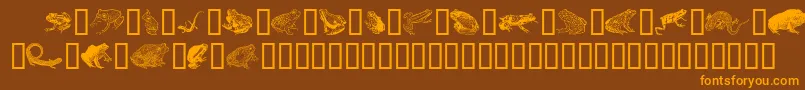 fuente Amphibiprint – Fuentes Naranjas Sobre Fondo Marrón
