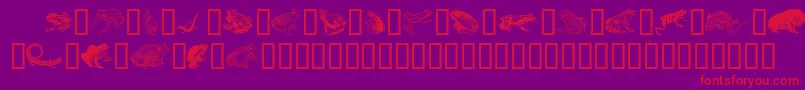 Amphibiprint Font – Red Fonts on Purple Background