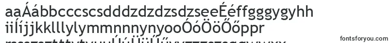 Шрифт TrebuchetMs – венгерские шрифты