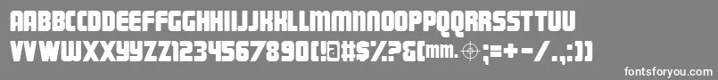 フォントMagnum ffy – 灰色の背景に白い文字