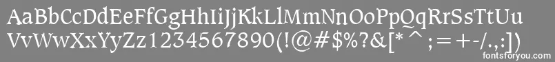 フォントSudbur – 灰色の背景に白い文字