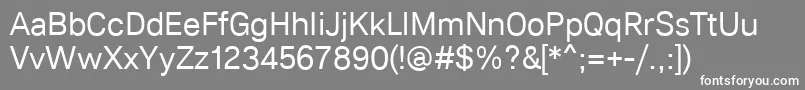 Lunchtype21Regular Font – White Fonts on Gray Background