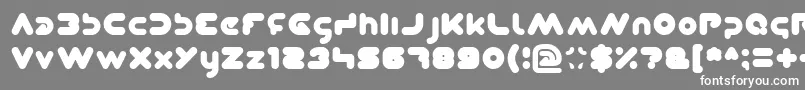 Dominique Font – White Fonts on Gray Background