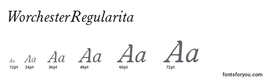 WorchesterRegularita Font Sizes