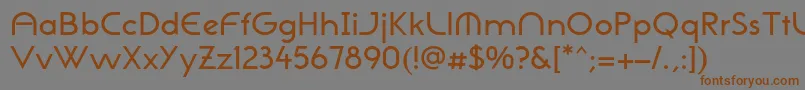 フォントNeogothisadfstdMedium – 茶色の文字が灰色の背景にあります。