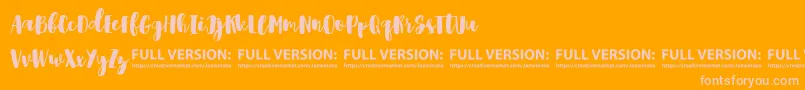 Shrewdy Font – Pink Fonts on Orange Background