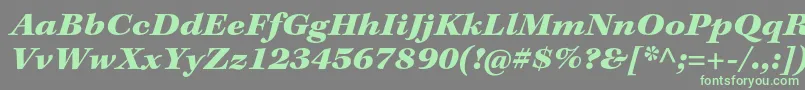 フォントKeplerstdBlackextit – 灰色の背景に緑のフォント