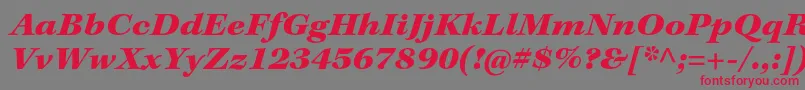 KeplerstdBlackextit Font – Red Fonts on Gray Background