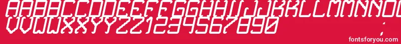 Czcionka NoxtreyAufTfbCursive – białe czcionki na czerwonym tle
