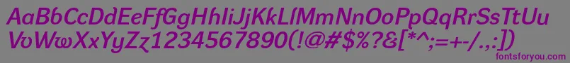 DynagroteskdeItalic Font – Purple Fonts on Gray Background
