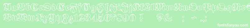 ProclamateOutlineHeavy Font – White Fonts on Green Background