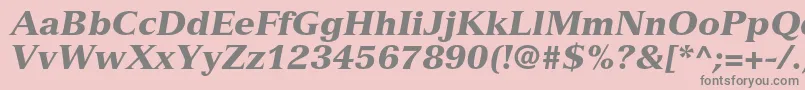 VersaillesltstdBlackitalic Font – Gray Fonts on Pink Background