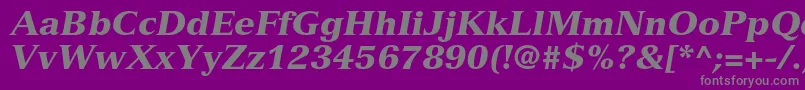 VersaillesltstdBlackitalic Font – Gray Fonts on Purple Background