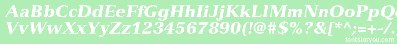 VersaillesltstdBlackitalic Font – White Fonts on Green Background