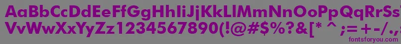FuturaBoldBt Font – Purple Fonts on Gray Background