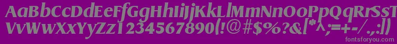 GriffonExtraboldItalic-Schriftart – Graue Schriften auf violettem Hintergrund