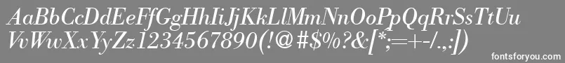 フォントModernbodoniRegularitalic – 灰色の背景に白い文字