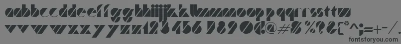 TurnerRegular Font – Black Fonts on Gray Background