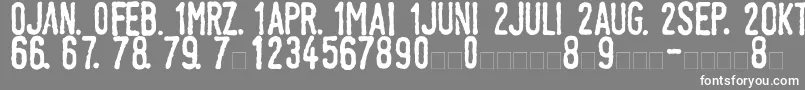 LinotypeTagesstempelNormal Font – White Fonts on Gray Background