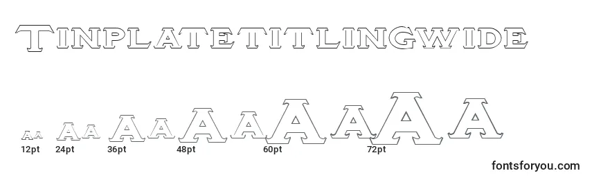 Размеры шрифта Tinplatetitlingwide