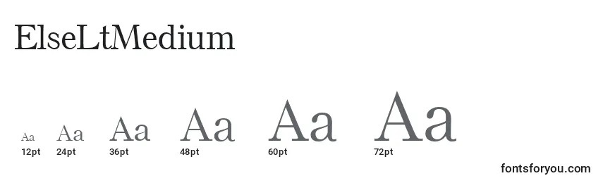 sizes of elseltmedium font, elseltmedium sizes