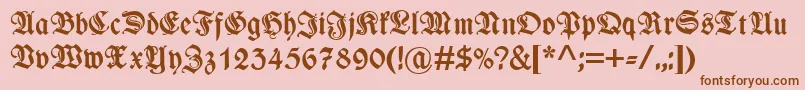 WieynkfrakturzierBold Font – Brown Fonts on Pink Background