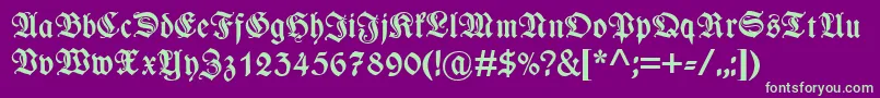 WieynkfrakturzierBold Font – Green Fonts on Purple Background