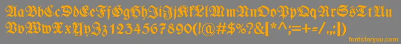 WieynkfrakturzierBold Font – Orange Fonts on Gray Background