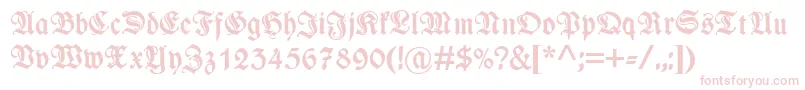 WieynkfrakturzierBold Font – Pink Fonts on White Background