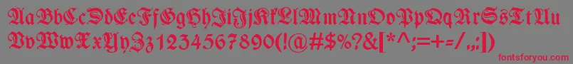 WieynkfrakturzierBold Font – Red Fonts on Gray Background