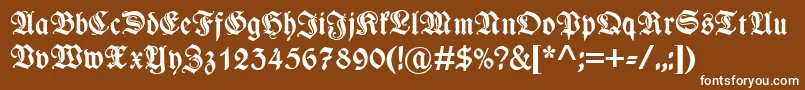フォントWieynkfrakturzierBold – 茶色の背景に白い文字
