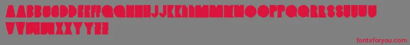 VintagedenimSeta Font – Red Fonts on Gray Background