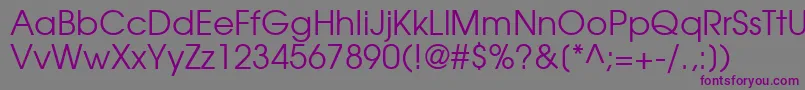 TexGyreAdventorRegular Font – Purple Fonts on Gray Background