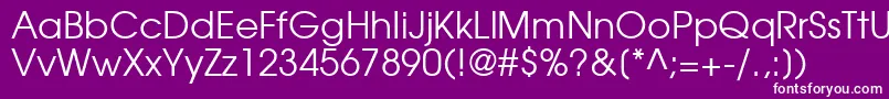 TexGyreAdventorRegular Font – White Fonts on Purple Background
