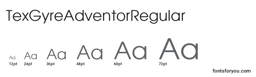 Размеры шрифта TexGyreAdventorRegular (115012)