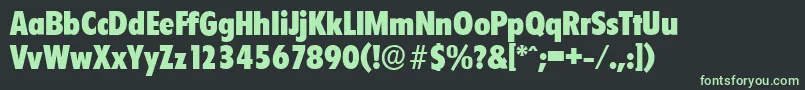 フォントFloridaserialHeavyRegular – 黒い背景に緑の文字