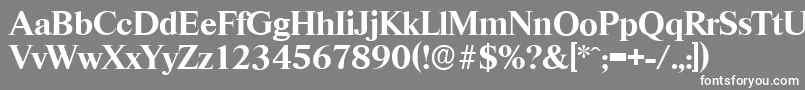 フォントRiccioneserialBold – 灰色の背景に白い文字