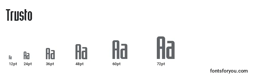 Trusto Font Sizes